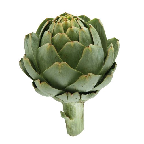 CASTE ARTICHOKE