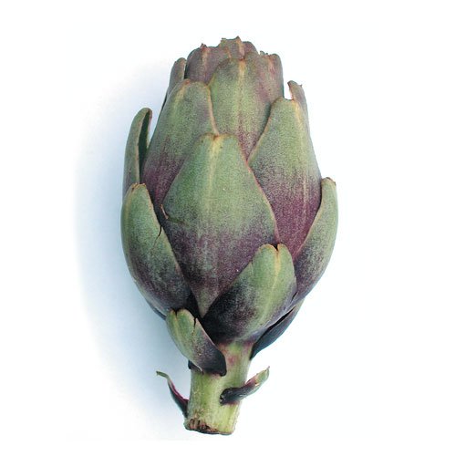 PETIT VIOLET ARTICHOKE