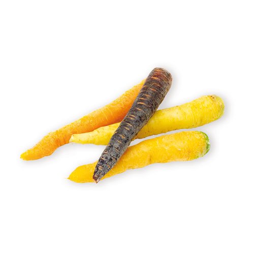 COLOURED CARROTS