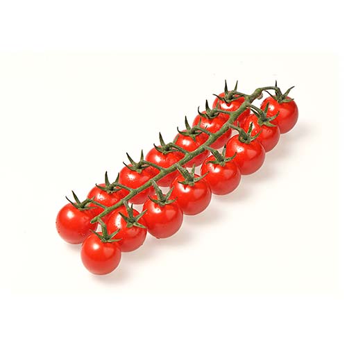 CHERRY TOMATOES ON THE VINE