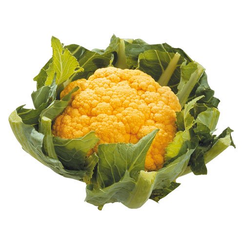 ORANGE CAULIFLOWER