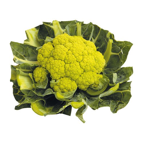 GREEN CAULIFLOWER