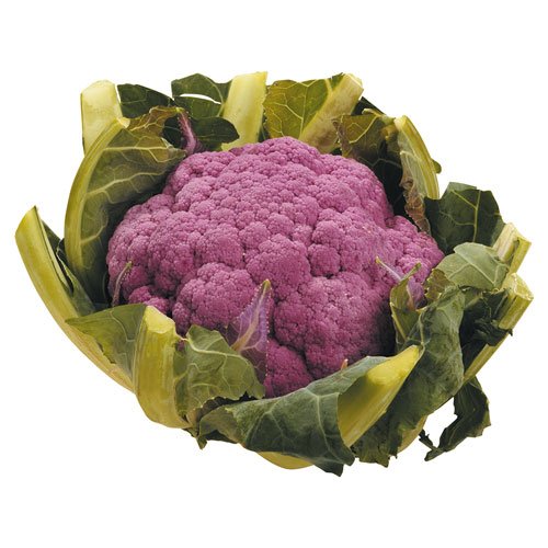 PURPLE CAULIFLOWER