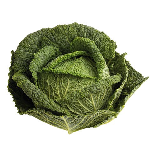 GREEN ROUND CABBAGE