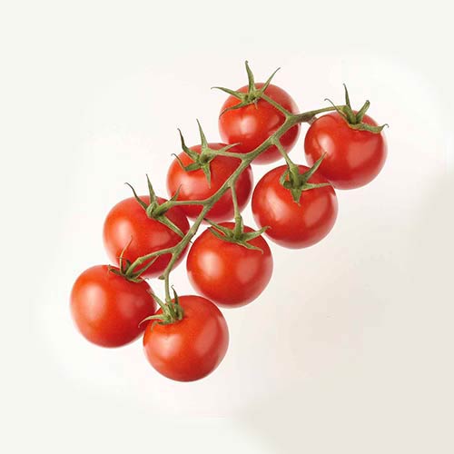 COCKTAIL TOMATO