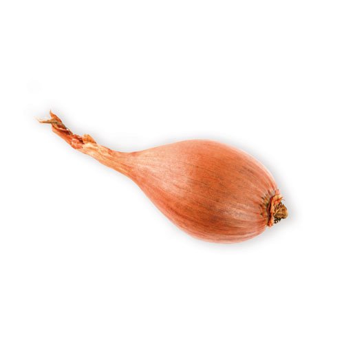 LONG TRADITIONAL SHALLOT