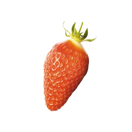 GARIGUETTE STRAWBERRY