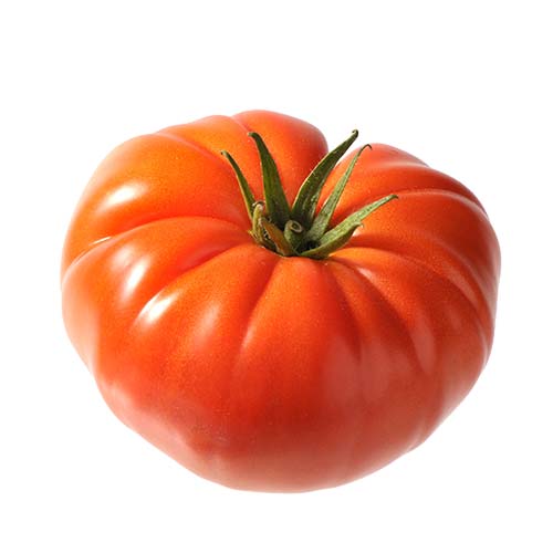 MARMANDE D’ANTAN TOMATO