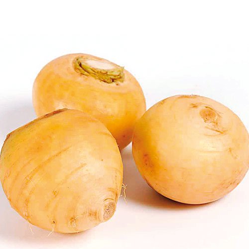 GOLDEN TURNIP