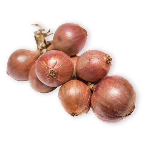 BRITTANY PINK ONIONS