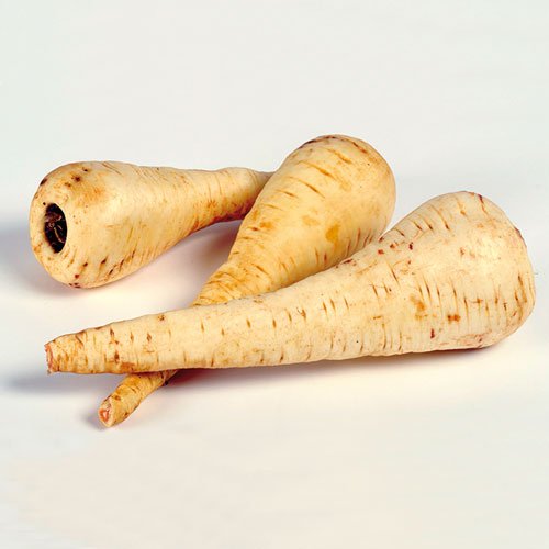 PARSNIPS