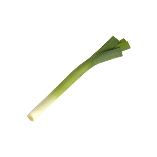 LEEK