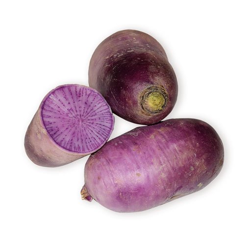 BLUE MEAT RADISH