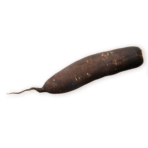 BLACK RADISH