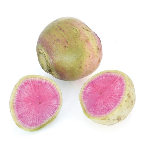 RED MEAT RADISH