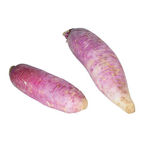 PINK CHINA RADISH