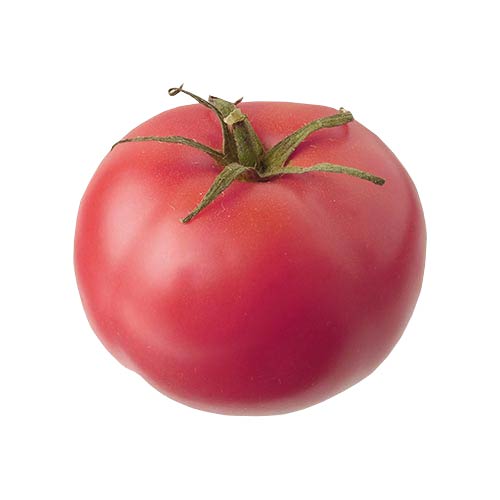 TOMATE ROSE