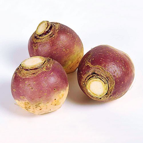 RUTABAGA