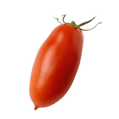 SAN MARZANO TOMATO