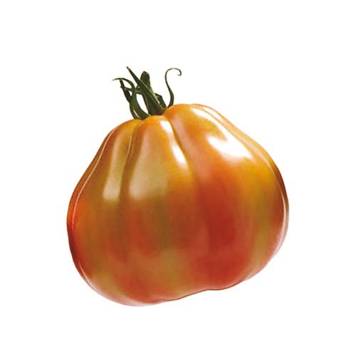 TOMATE AUMÔNIÈRE