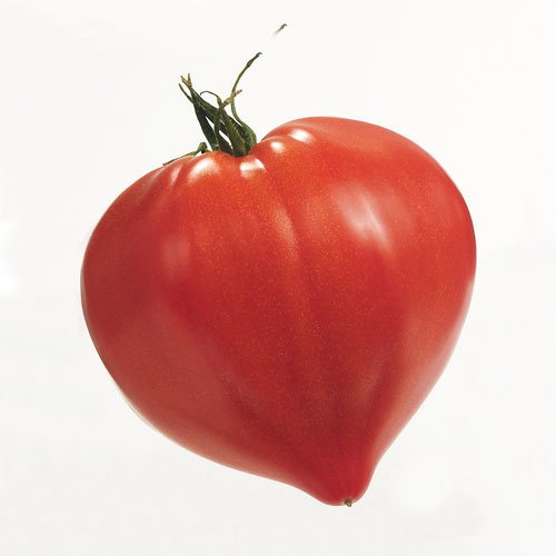 CUORE DI POMODORO DI UN TEMPO